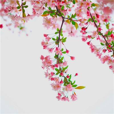 世界olh5手游下载